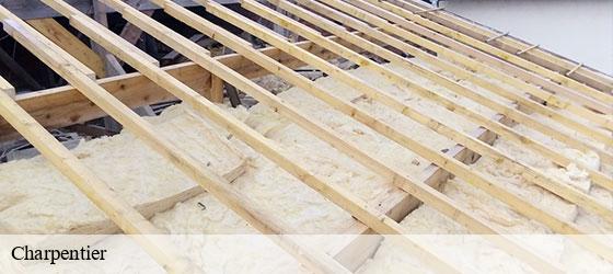 Charpentier  sainte-hermine-85210 Rto Couvreur Vendée Loire Atlantique -3