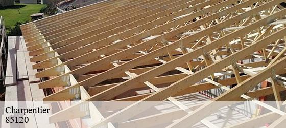 Charpentier  saint-hilaire-de-voust-85120 Rto Couvreur Vendée Loire Atlantique -5