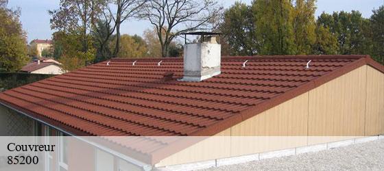 Couvreur  saint-medard-des-pres-85200 Rto Couvreur Vendée Loire Atlantique -2